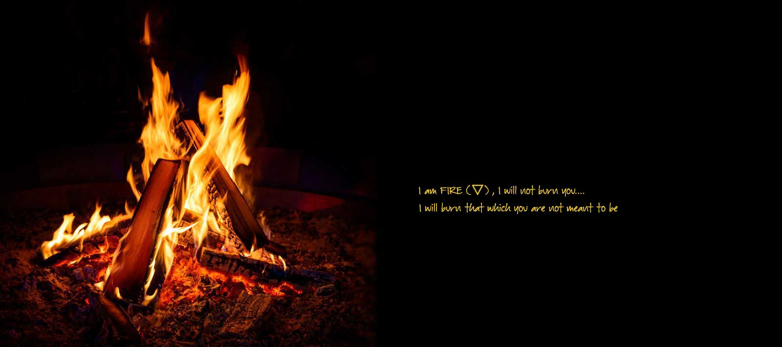 Slide 8